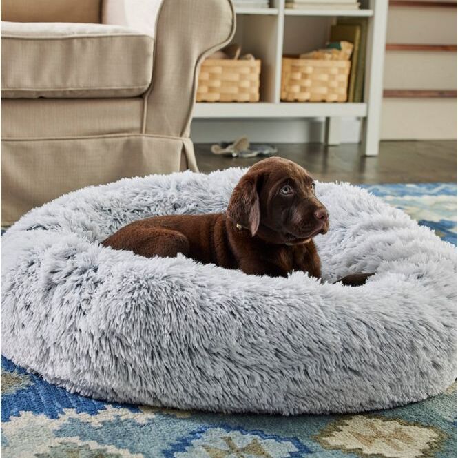 dog bed