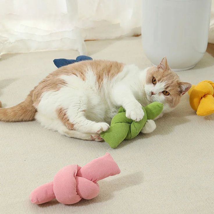 Cat Chew Toy