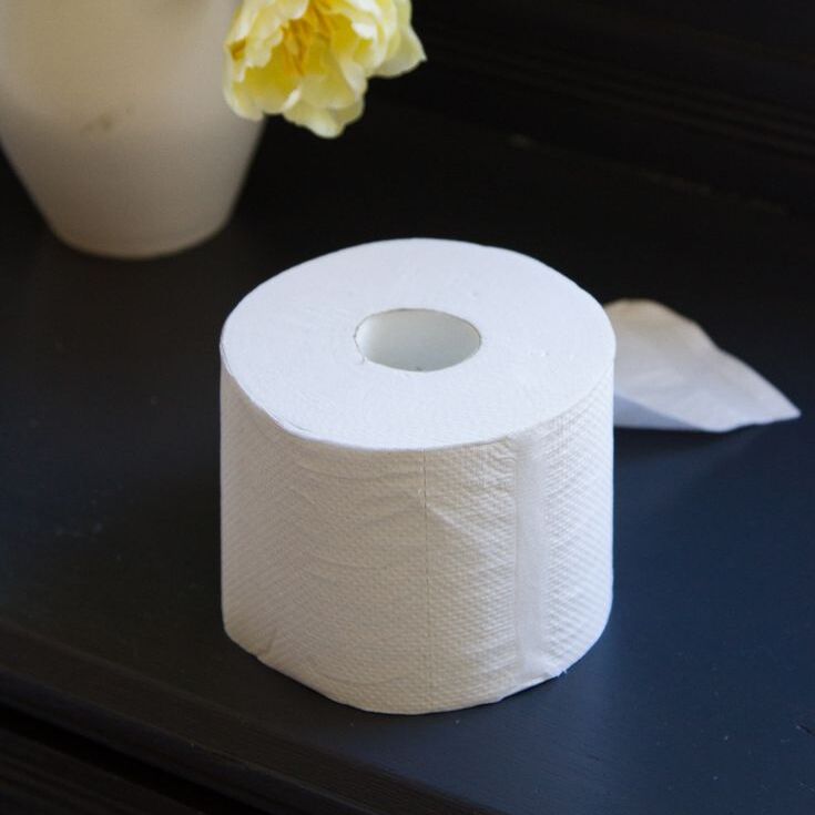 Reclaimed toilet paper