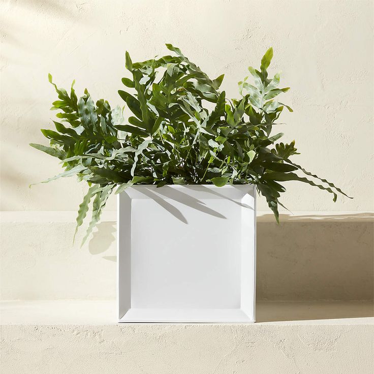 square vase