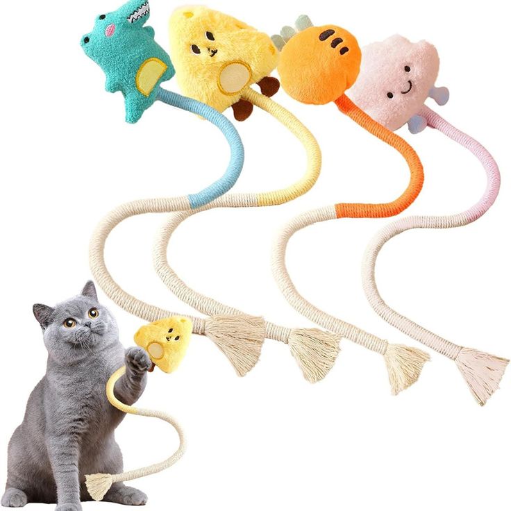 cat toy