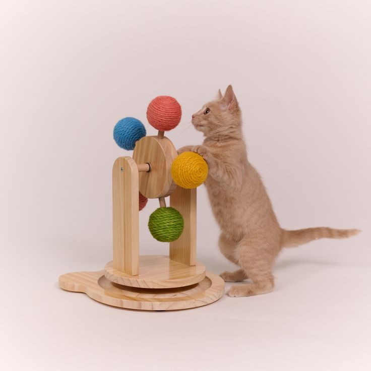 Interactive Play Center