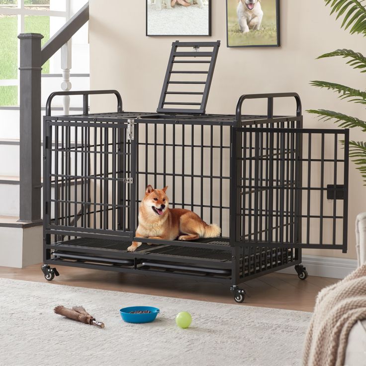 kennel accessories