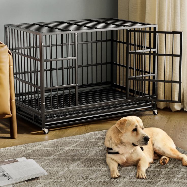 dog kennel