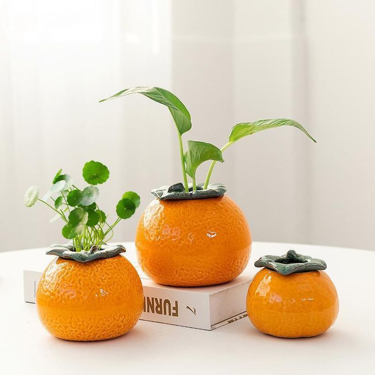 orange vase