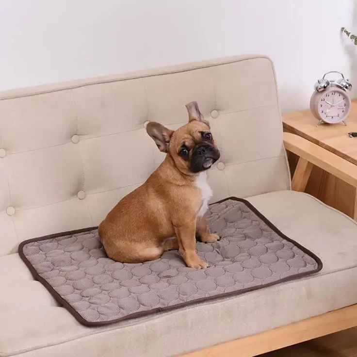 Dog bed mat