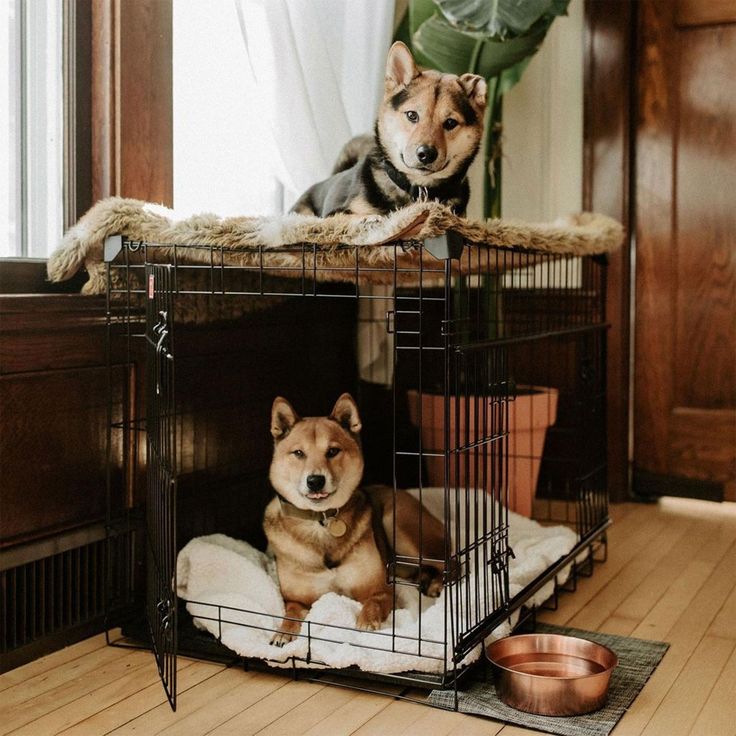 Dog Crate