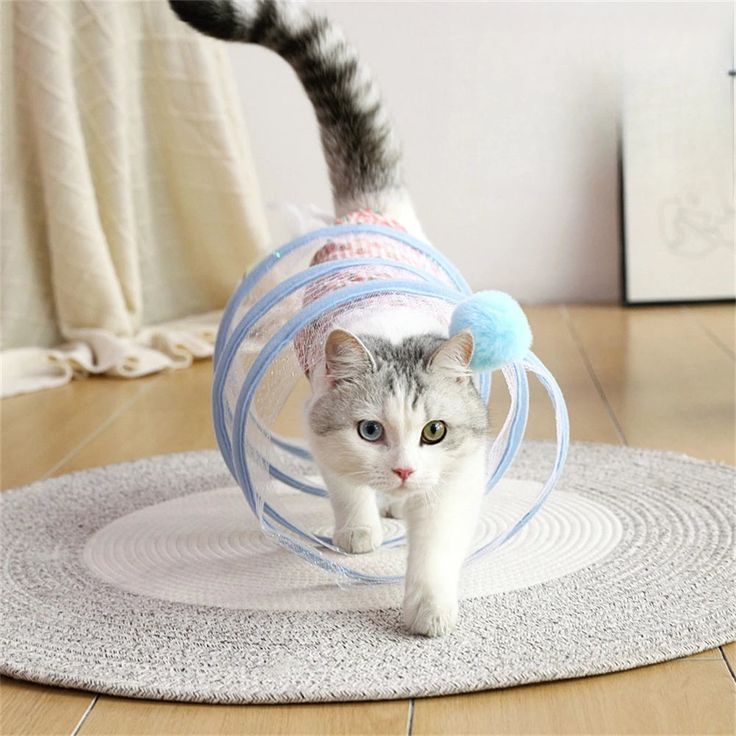 pet cat toy