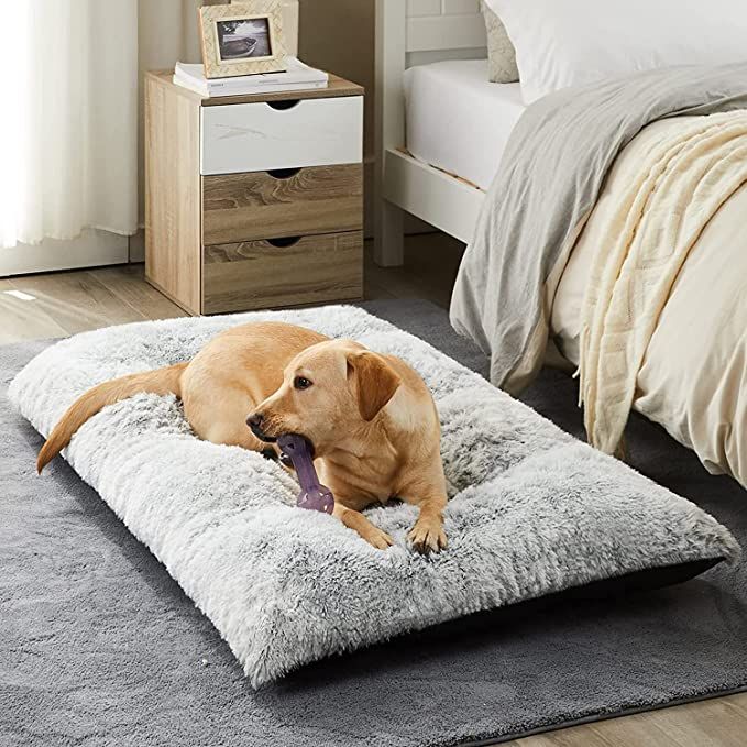 Dog cushion