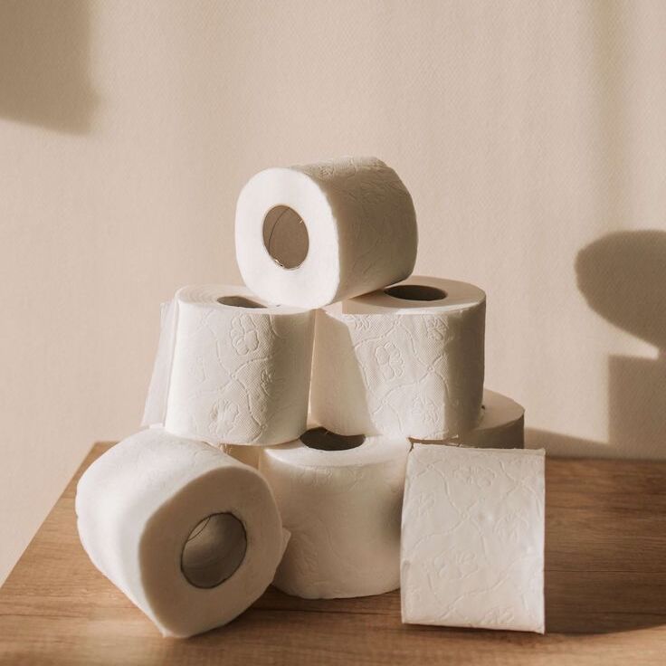 DIY toilet paper