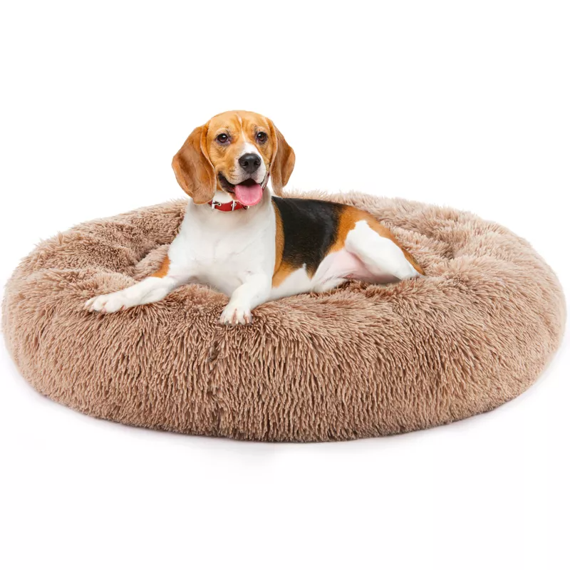 dog kennel