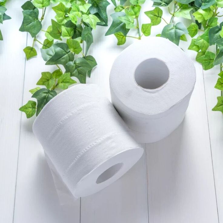 Toilet tissue