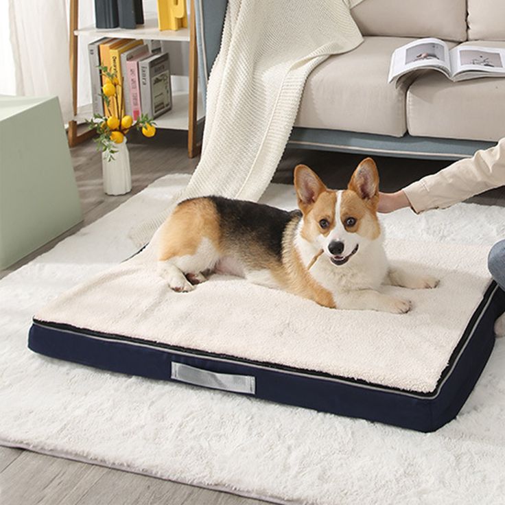 Dog crate mat