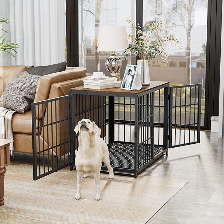 Metal dog cage