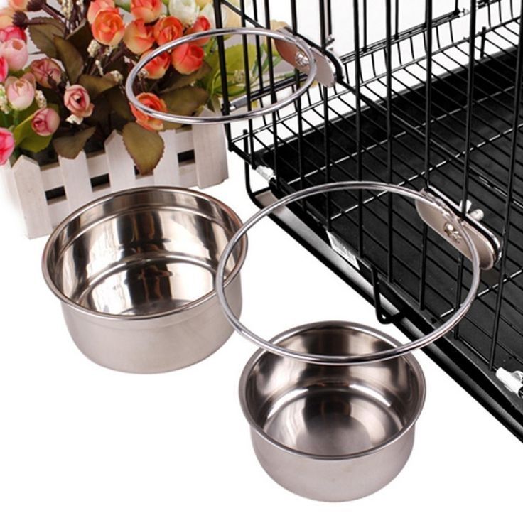 Stainless Steel Coop Cups