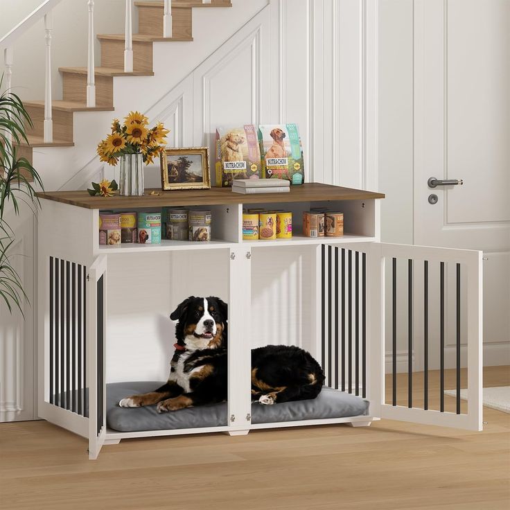 doghouse