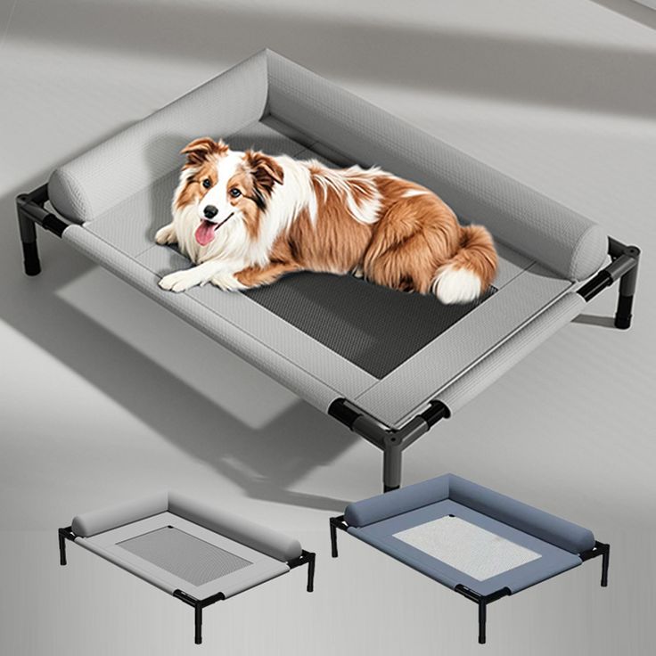 Pet lounger