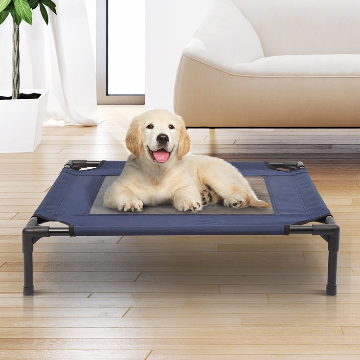 pvc pet bed
