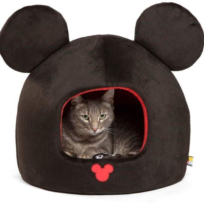 pet bed
