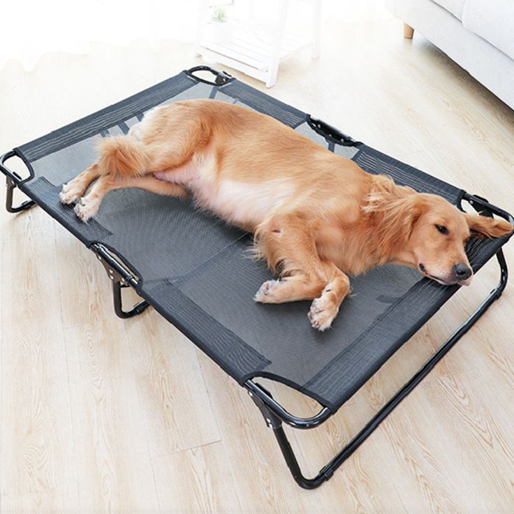 Animal bed
